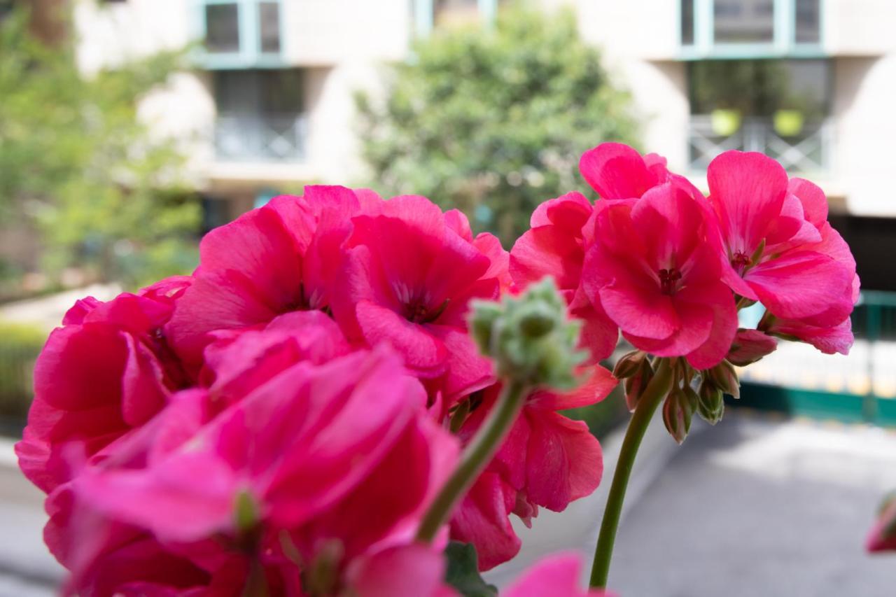 Boutique Apartment Nice Center Beach Free Parking Экстерьер фото